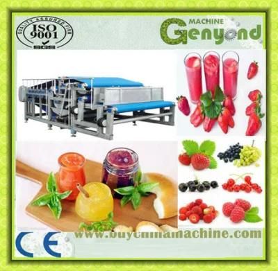 Belt Type Fruit Press and Juice Extractor