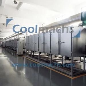 Belt Dryer for Vegetables and Fruits Dehydration Processing Line
