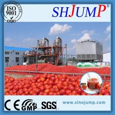 Tomato Paste Puree Jam Sauce Ketchup Production Line and Machines with The Lowest ...