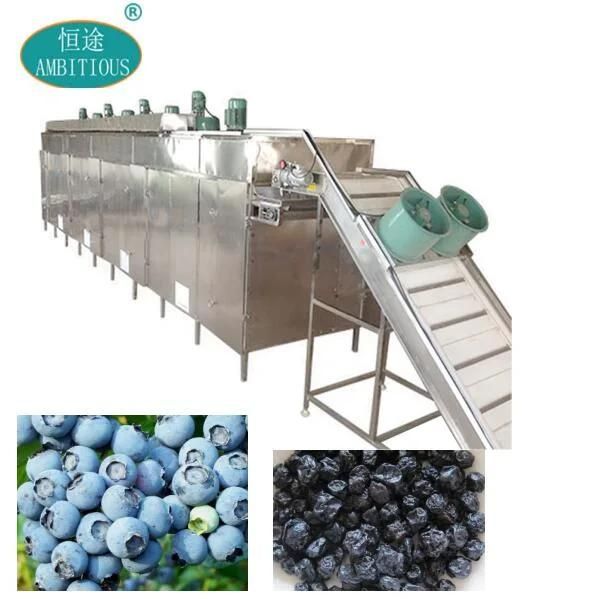 500kg Vegetable and Fruit Dryer Blueberries Dryer and Drying Machine