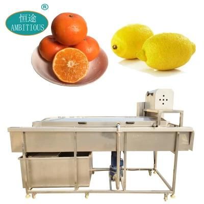 Fruit Washing and Cleaning Machinery Lemon Orange Washing Machine