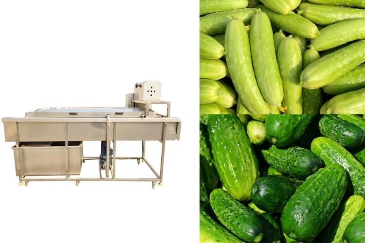 Automatic Brush Wash Machinery Commercial Vegetable Cucumber Washing Machine