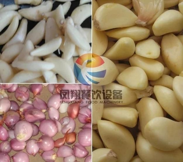 Automatic Shallot Garlic Clove Skin Removing Machine/Garlic Stripper