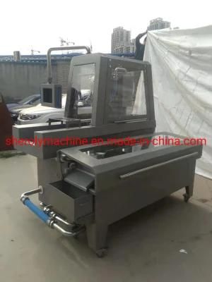 Salt Brine Injector Factory