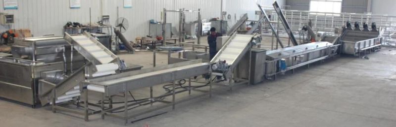 Brush Potato Carrots Washing and Peeling Food Machine