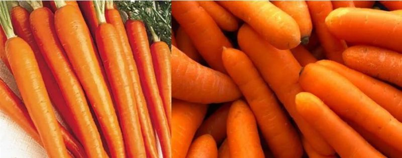 High Speed Line Vegetable Roller Washing Carrot Potato Peeling Machine