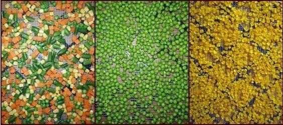 Dehydrating Vegetables Drying Machine