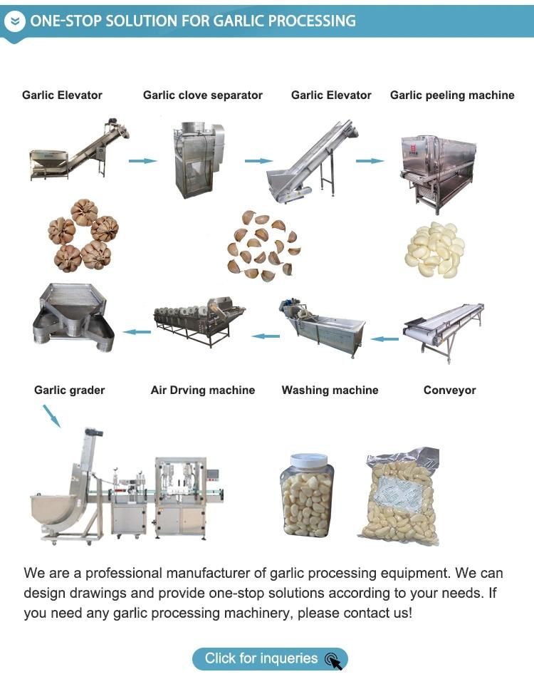 High Quality Garlic Peeling Production Line1t / H Garlic Peeling Machine