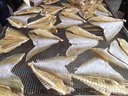 Industrial Hot Air Dehydrating Drying Machinery Dried Fish Machine