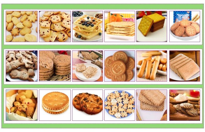 Soft and Hard Biscuit Production Line Biscuits Production Plant Molded Biscuit Equipment