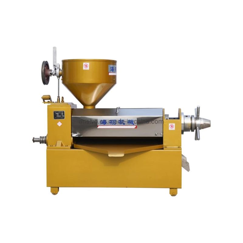 Ansivo Oil Press Cold Oil Press Machine Main Manufacturer New Technology Oil Press Machines