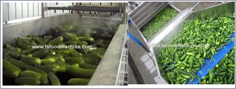 Automatic Cucumber Washing Machine and Cucumber Bubble Cleaning Equipment