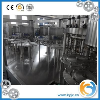 Concentrated Fruit Juice Making Machine / Bottle Juice Filling Machine