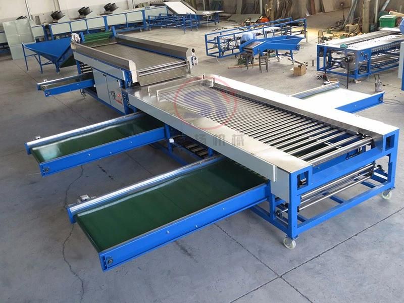 3-7 Grades Automatic Fruit&Vegetable Sorting Grading Machine Roller Type