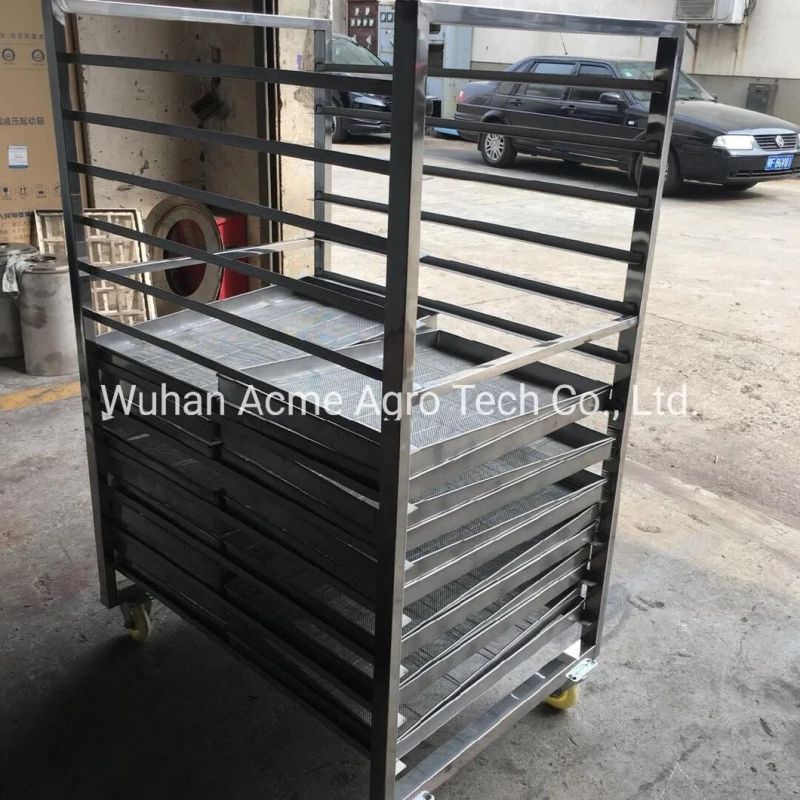 Multi-Layer Mesh Belt Dryer for Vegetables and Fruits/Nuts