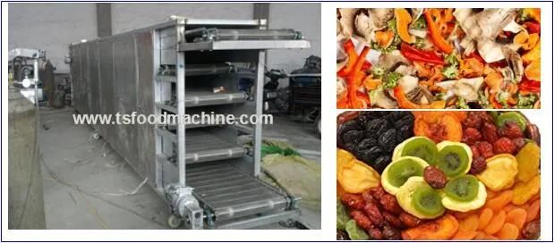 Fruit and Vegetable Dryer Mesh Belt Dryer