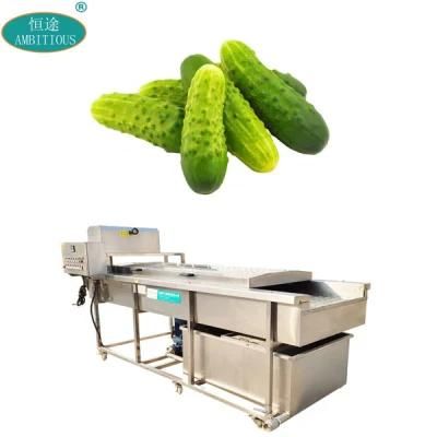 Vegetables Washing Machine Brush Roller Washing Machinery Gherkin Washer