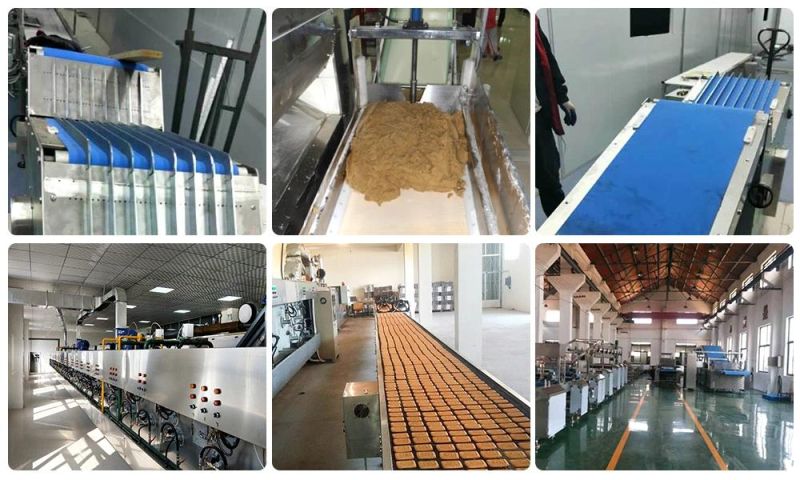 Stainless Steel Hard Biscuit Production Line Belivita Biscuit Making Machine Price