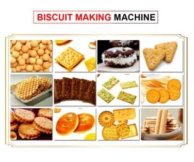 Small Scale Industry Biscuit Making Machine Baby Biscuit Manufacturing Plant Chocolate ...