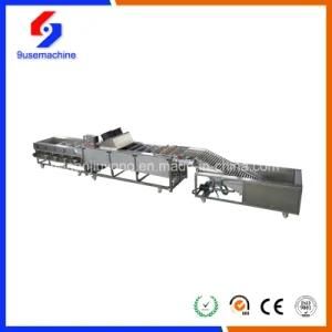 Industrial Automatic Washer Vegetable Cleaning Machine Fruit Washing Machine