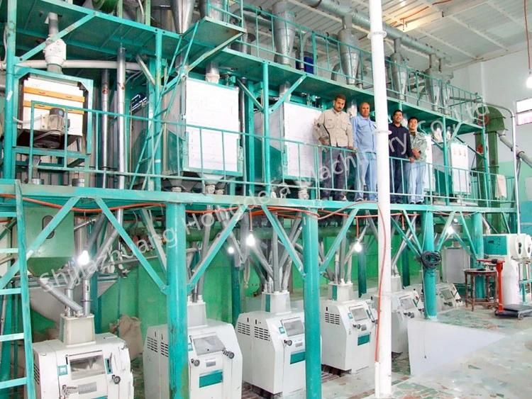 Popular 60t/24h Wheat Flour Making Mill Plant for Bread Pasta