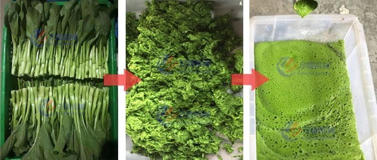Fruits Vegetables Washing Conveying Crushing Juicer Machine Fruit Centrifugal Juicer Machine Juicer Extractor Machine