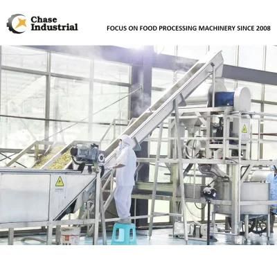 Tomato Ketchup Processing Concentrated Filling Plant Making Production Plant Paste ...
