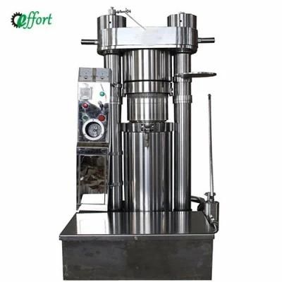 Sunflower Oil Press Hydraulic Sesame Oil Press Seed Oil Press