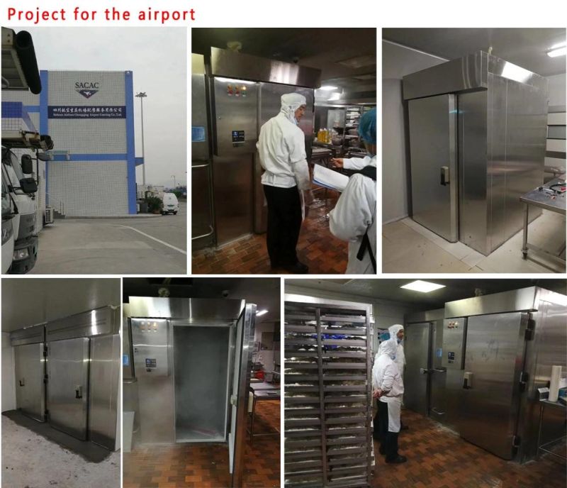 11 Trays -40 Degree Blast Freezer for Bakery (AK11-D)