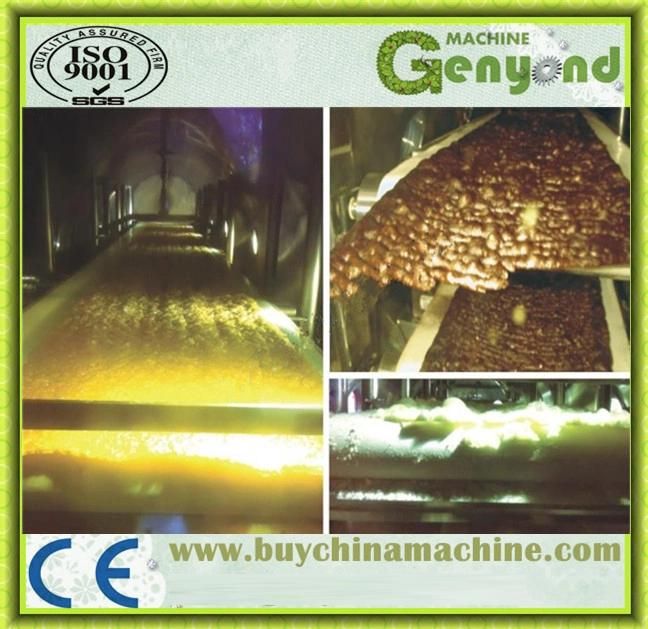 Fruits and Vegetables Vacuum Drying Machines