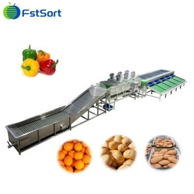 Hot Sale Capsicum Packing Grading Machine Bell Pepper Grading Line