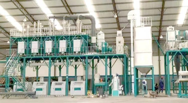 Hongdefa Complete Automatic 100t/24h Corn Grinding Machine Running in Nigeria