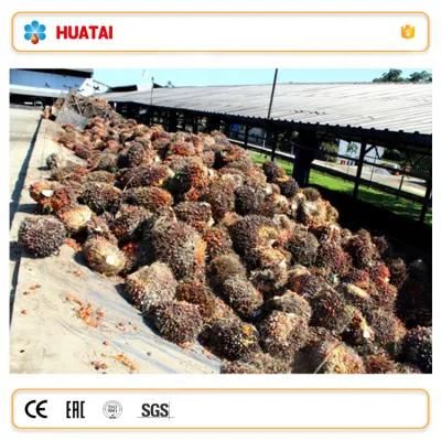 Palm Fresh Fruit /Ffb Oil Extraction Equipment