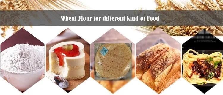 China Best Price Maize Wheat Flour Milling Equipment for Africa