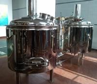 500L Brewhouse for Hotel Beer Equipment