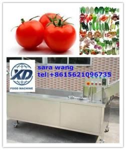 Fruit and Vegetable Ozone Cleaning Machine