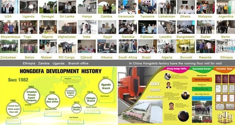 China Factory Design European Standard Wheat Flour Milling for Afghanistan