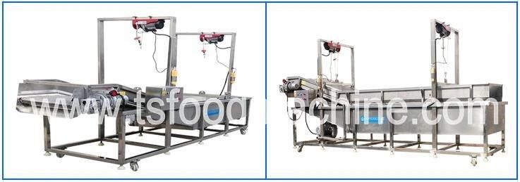 Automatic Conveyor Continuous Ginger Washer and Washing Machine
