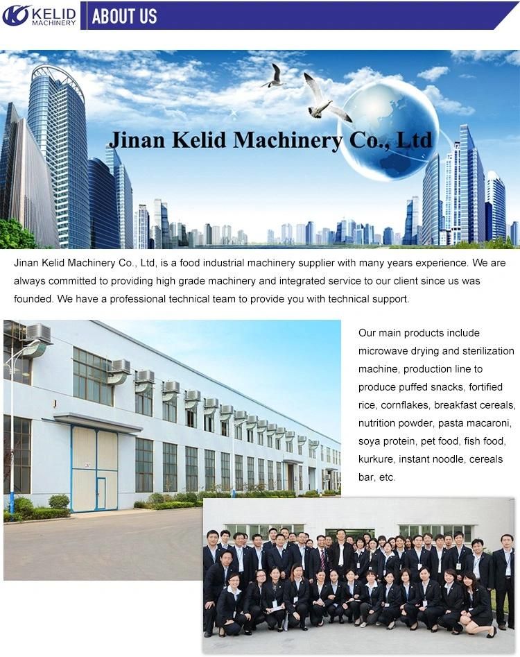 Commercial Maggie Instant Noodle Maker Processing Line Plant