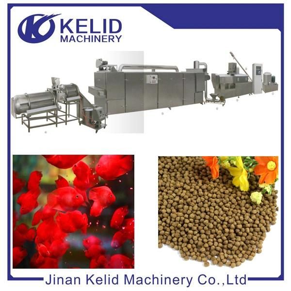 Twin-Screw Fish Feed Extruder