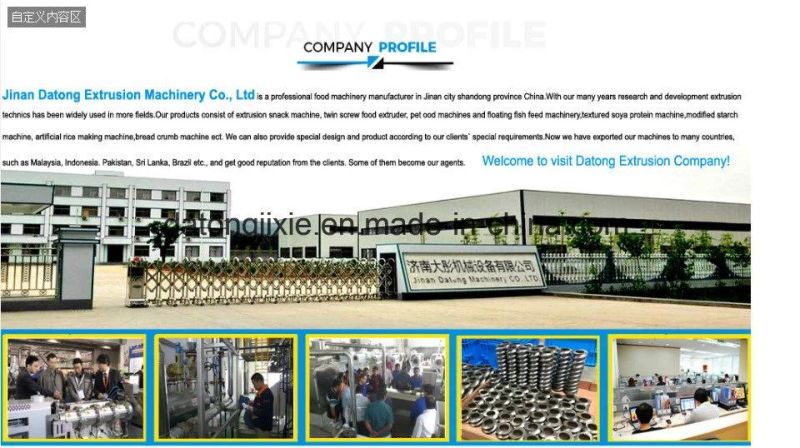 Big Capacity Ce Certificate Soya Protein Production Line