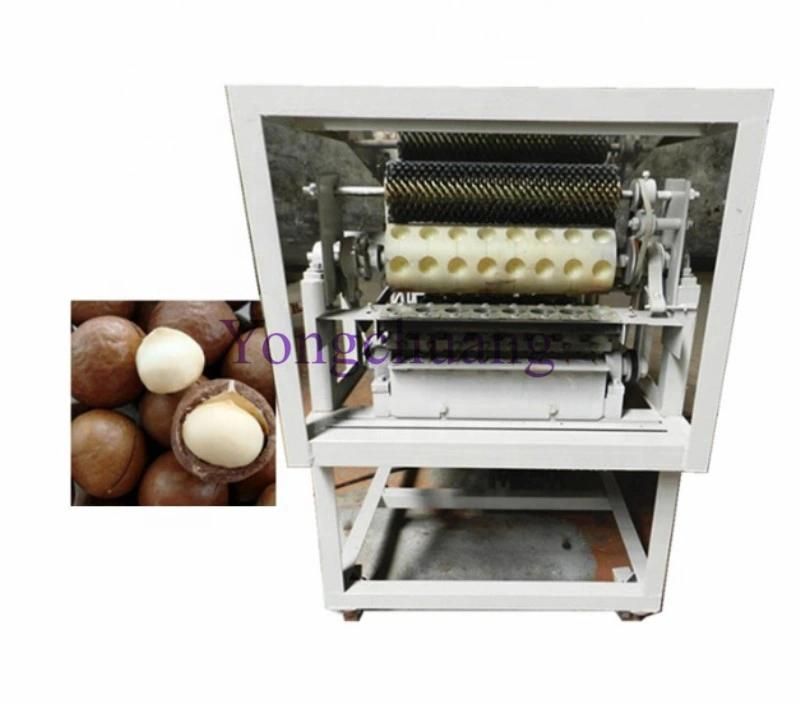 Automatic Macadamia Nut Cracker Machine with High Capacity