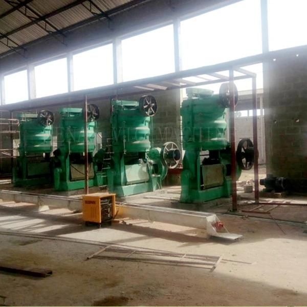 YZ-18L Soybean Oil Press, Cold Oil Press with 6-12t/d