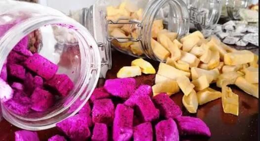 Blueberry, Jackfruit, Durian, Raspberry Vacuum Lyophilizer