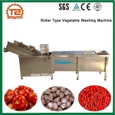 Professional Fruits and Vegetable Processing Equipment
