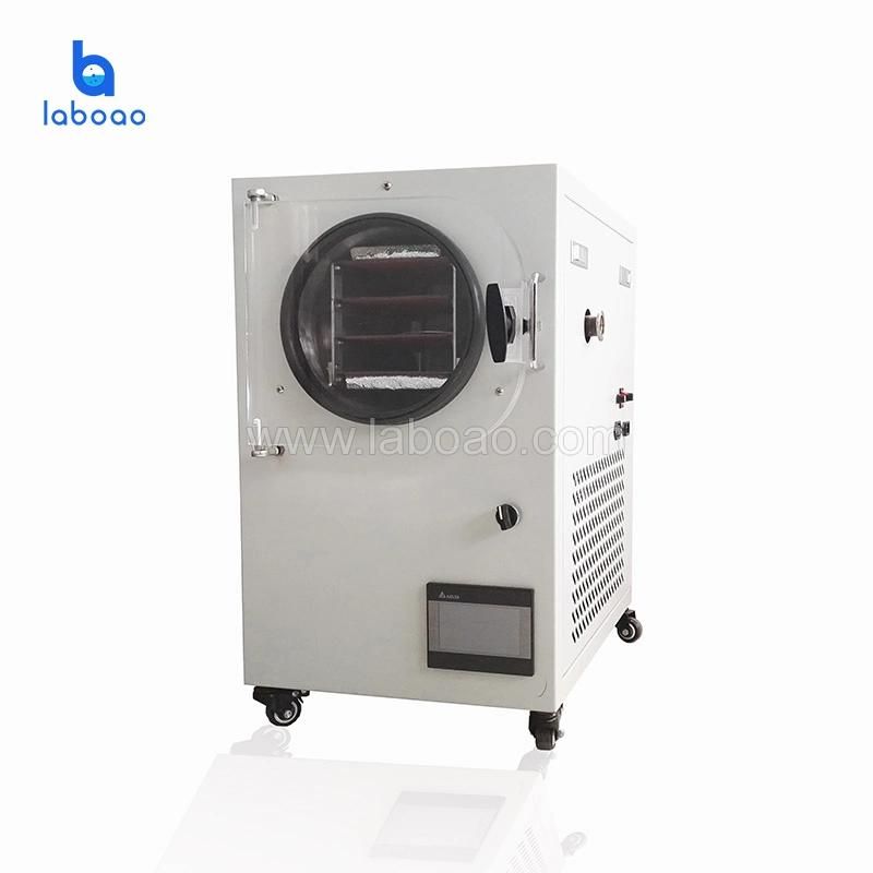 LCD Display Small Household Freeze Dryer Is Easy to Operate