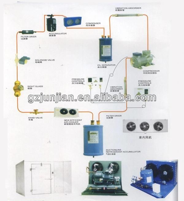 Cold Storage Room for Frozen Meat