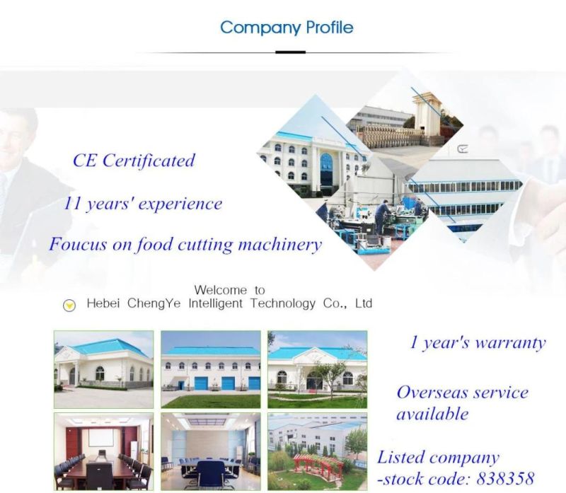 Dice Meat Machine for Meat Processing/Dicing Machine for Meat Processing Machine