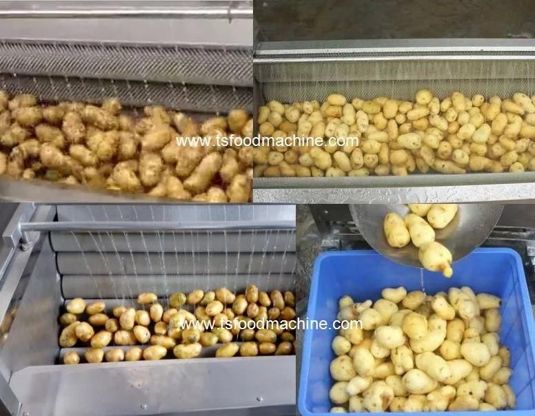 Buy China Factory Best Low Cost Industrial New Potato Peeling Machine