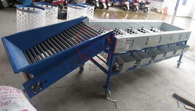 3-6 Grades Vegetable Sorting Grading Machine for Cherry/Tomato/Cirtus